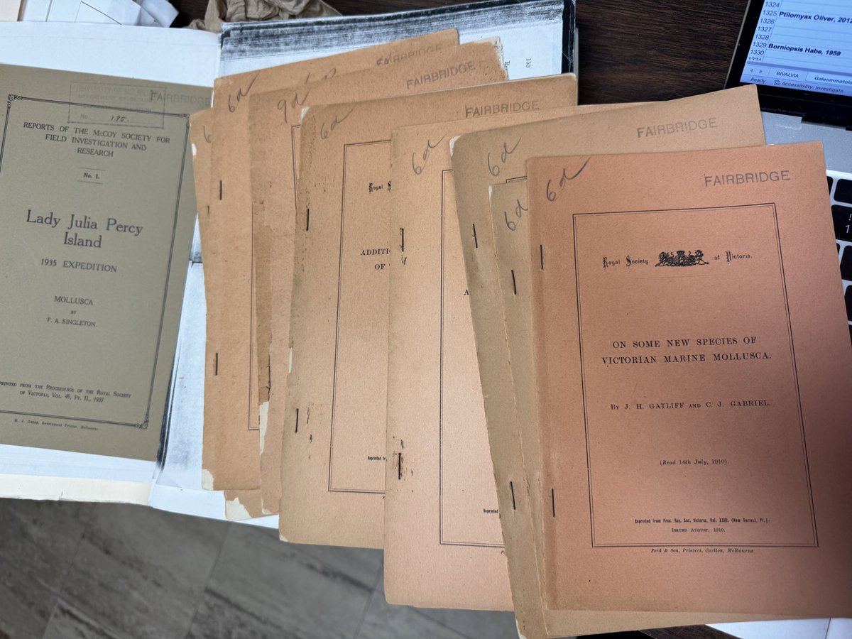 Shan Huang（黄珊） tweet media