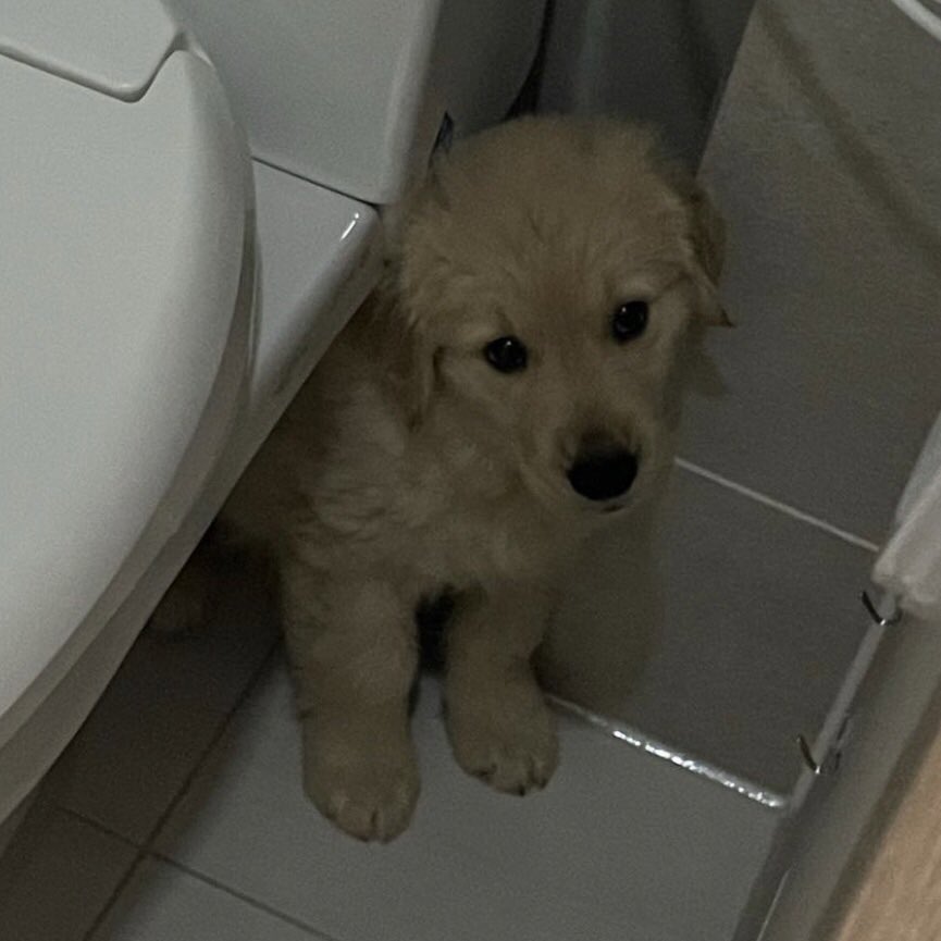 ไม่หยั่กไปโรงเรียนอ่า เวรี่นอย