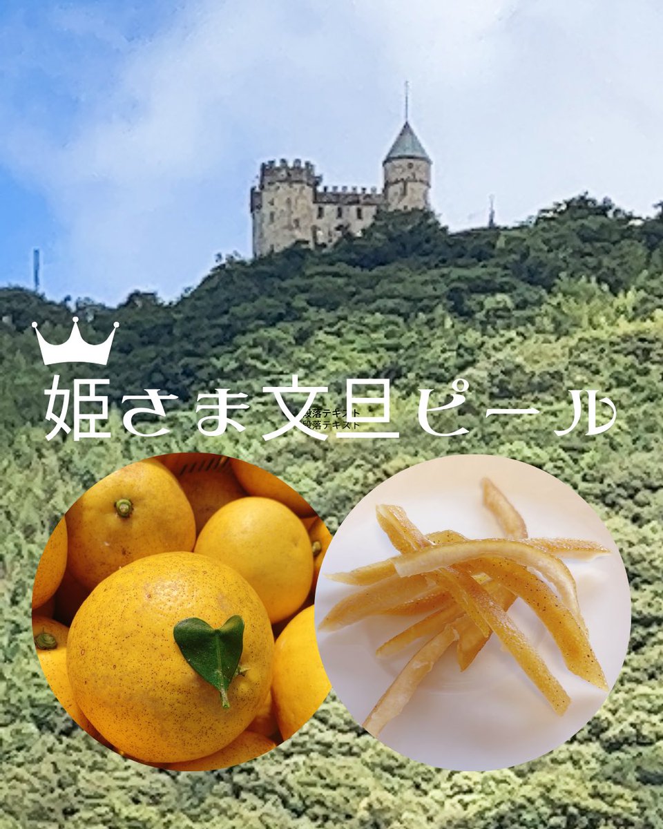 #姫さま文旦ピール
#こなつファーム
のみかん山は三宝山にありいつもこのお城
#シャトー三宝
を見ながら農作業してます。
#無肥料無農薬栽培
で作った文旦。
生では販売できない小さいものを加工しました。
美しい文旦ピール是非お召し上がりください
#PR

konatsufarm.base.shop/items/82883508