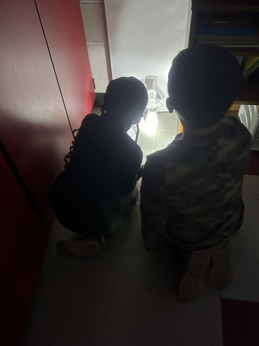 After learning that the groundhog did not see his shadow. We talked about light and shadows and created groundhogs and used flashlights to look at shadows.