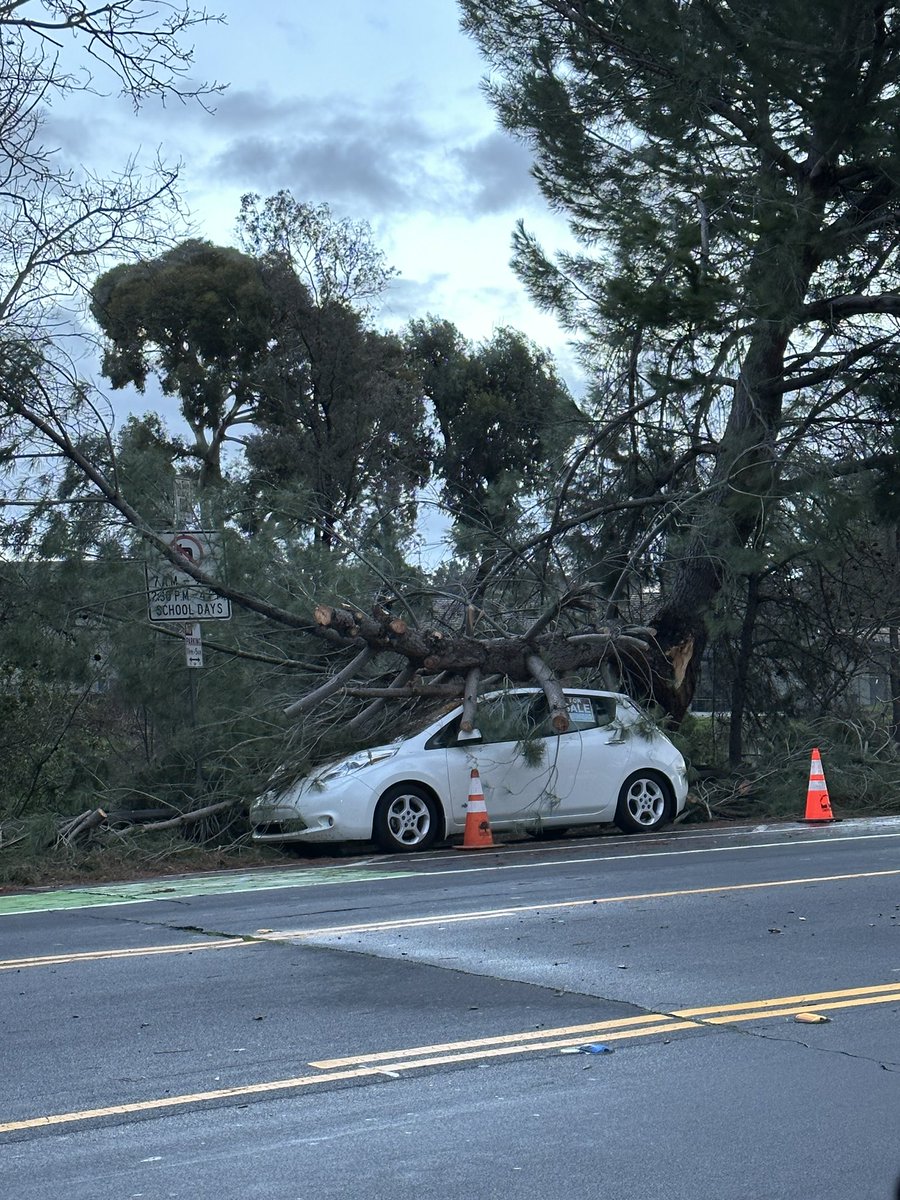 Maybe not the best day to put your car up for sale outside of San Ramon Valley High School in Danville 

<a href="/DanvilleSR_News/">Danville/SR Updates</a> <a href="/nbcbayarea/">NBC Bay Area</a> <a href="/KTVU/">KTVU</a> <a href="/RobMayeda/">Rob Mayeda</a> <a href="/ABC7/">ABC7 Eyewitness News</a>
