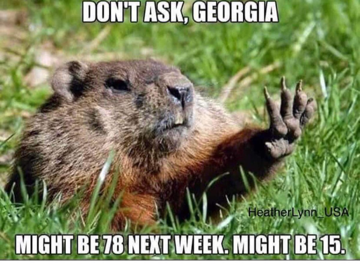 Was springy yesterday and beautiful, now it’s rainy cool night in Georgia.. goodnight everyone. Stay safe 🤗🪶🦋🌜🩵 😴💤