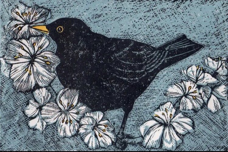 The Celtic goddess Rhiannon has 3 magical blackbirds, whose singing imparts the mystic secrets of the Otherworld &amp; lulls the living to sleep, so they can journey in trance. In our world the blackbird sings at dusk &amp; dawn - times of shifting &amp; transformation. #MythologyMonday