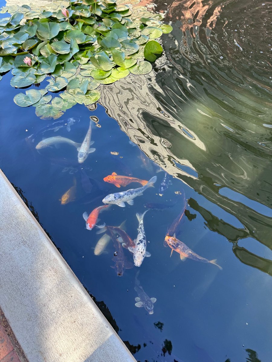 Mollie Dollinger tweet media