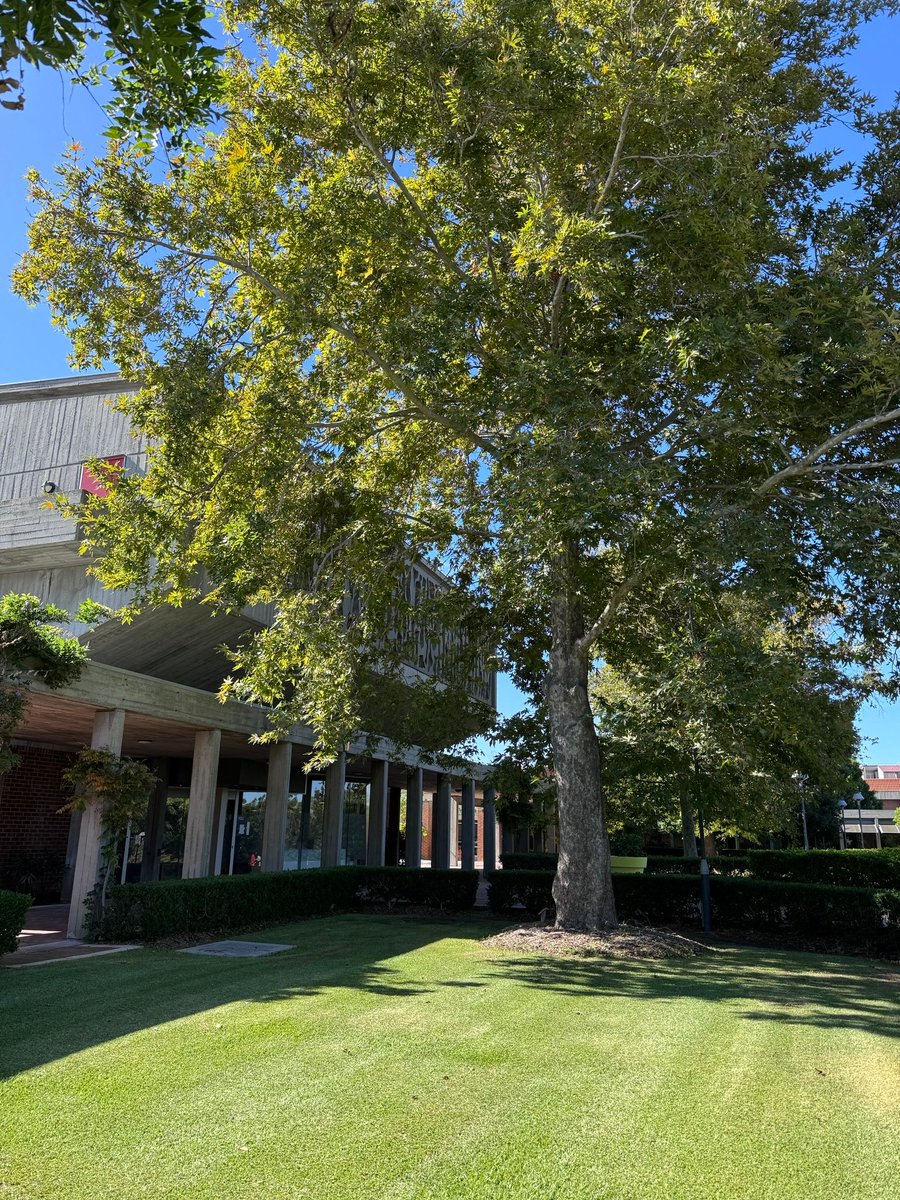 Mollie Dollinger tweet media