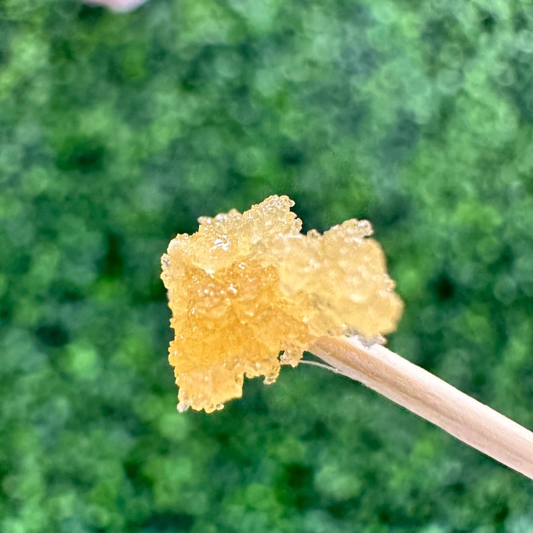 cbdprosusa's tweet photo. "Vapes just don't do it for me." Let us level you up 📈

Concentrates such as our #thca Donny Burgers and Flowers of Zion provide a more intense experience our high tolerance guests can appreciate 🍯

Talk to your local #cbdprosusa for more details! 🤓

#concentrate #flowers https://t.co/ZeSvfeKO2Q