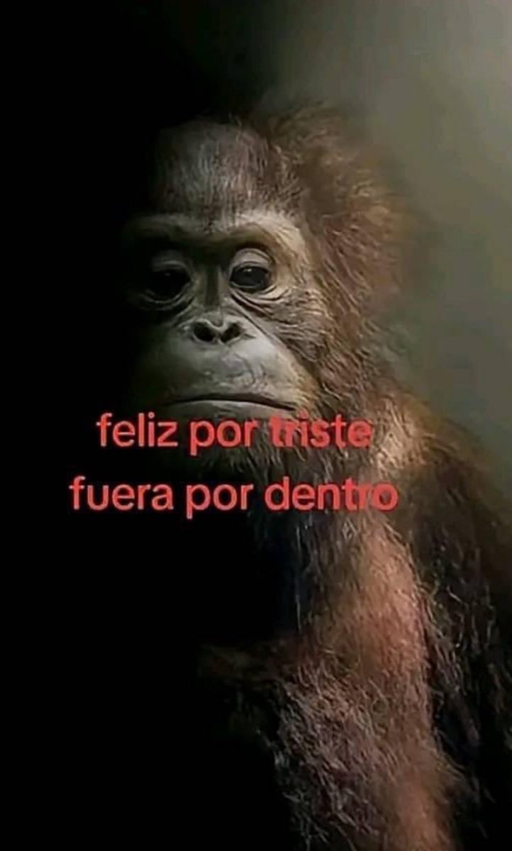 AleejandroRamos's tweet photo. https://t.co/5QbzduRKnl