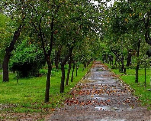 Good Morning X users! 
                                         Kaisy ho aap sab? 
Who will walk with me here? 
#morning 
#PeaceAndLove 
#Walker 
#RUNNING_UP