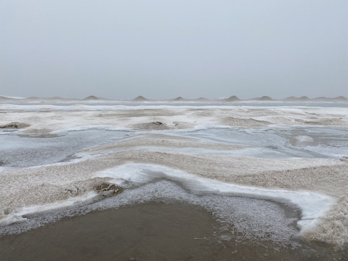 Sunny and beautiful in #ldnont today. Frozen forests all the way to Ipperwash Beach where it was foggy, grey and dramatic. What a spectacular day for a walk along Lake Huron.