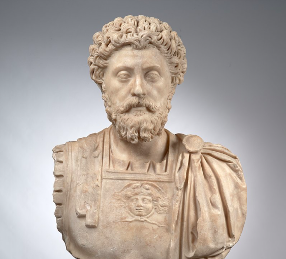 “The object in life is not to be on the side of the majority, but to escape finding oneself in the ranks of the insane.” Roman Emperor Marcus Aurelius (121-180AD) 

#ContraryAnnie rolls like this: "If an idea isn't a bit insane or delusional sounding, it's likely a bit stale."