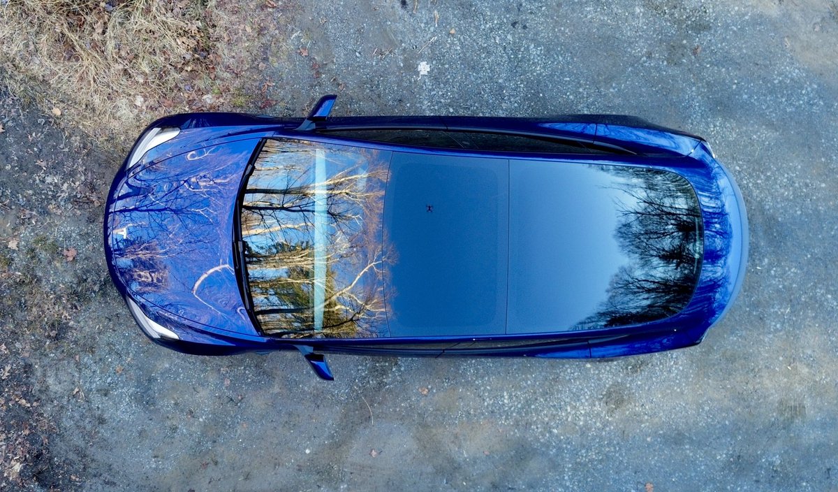 My model 3 enjoying a nature bath 🌳 🛀 <a href="/Tesla/">Tesla</a> <a href="/elonmusk/">Elon Musk</a>