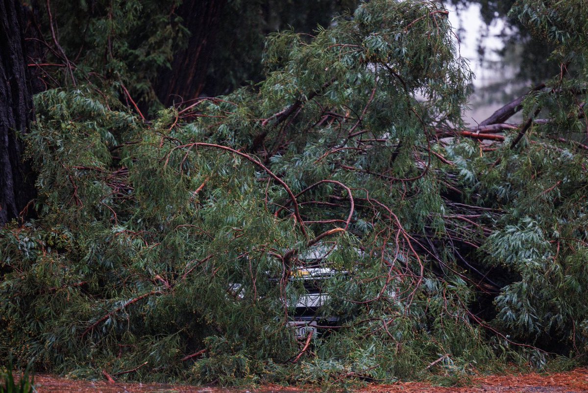 nick otto tweet media