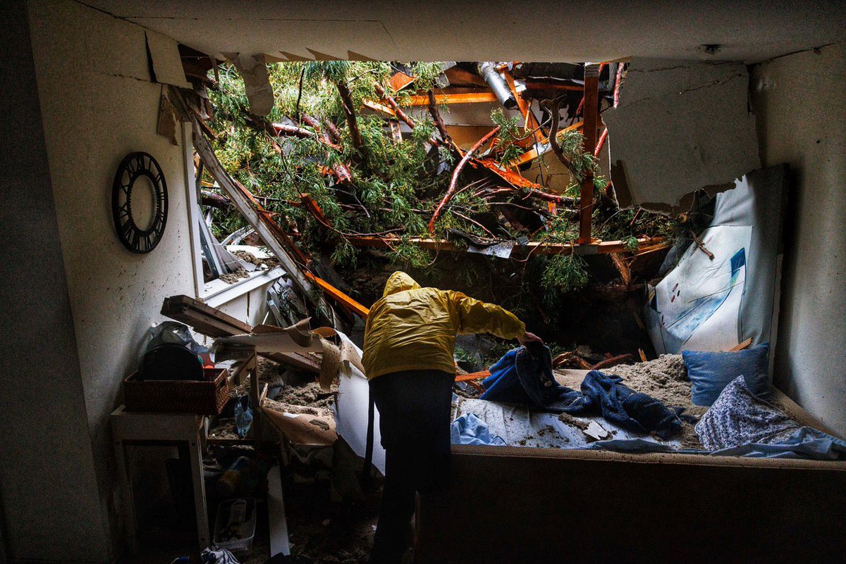 nick otto tweet media