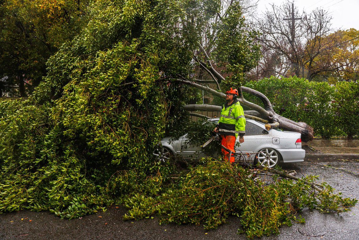 nick otto tweet media