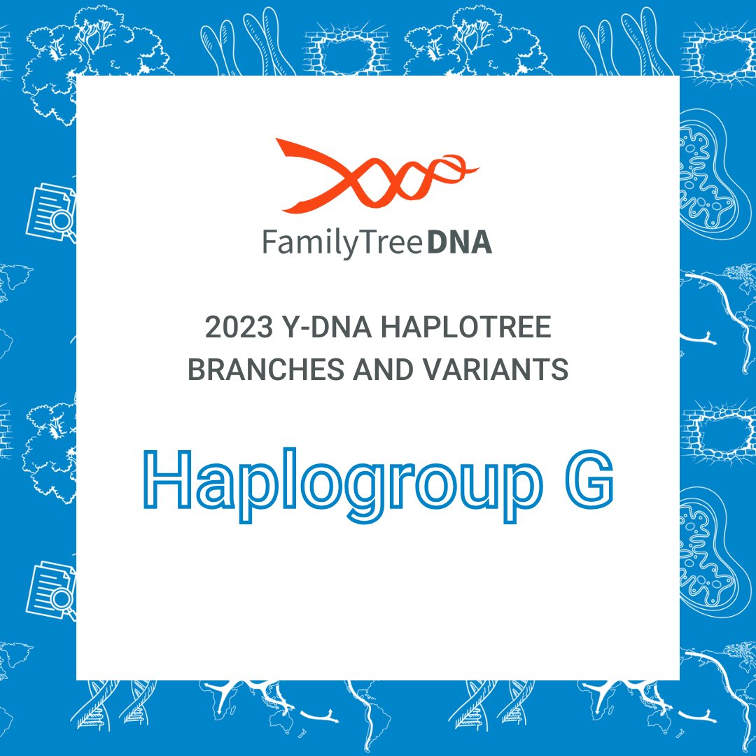 🧬🌳 What changed for haplogroup G? Scroll through to explore branch and variant growth in 2023. Are you a part of haplogroup G? Share with your cousins and let them know what's new for your genetic family!