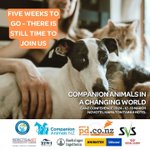 Photo by Companion Animals New Zealand (@_CANZ_)