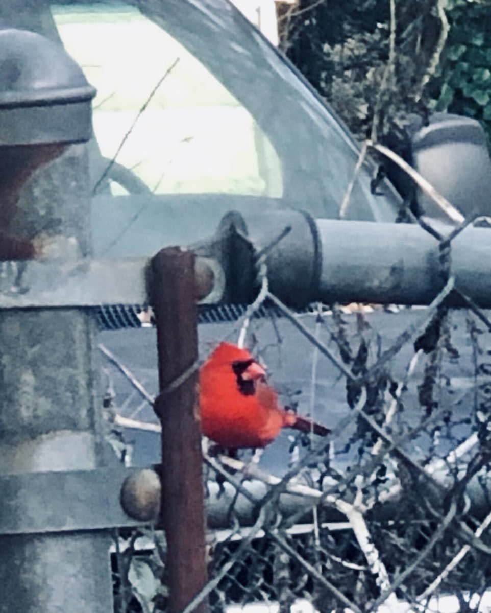 Good night 💤😴💫🩵🌜