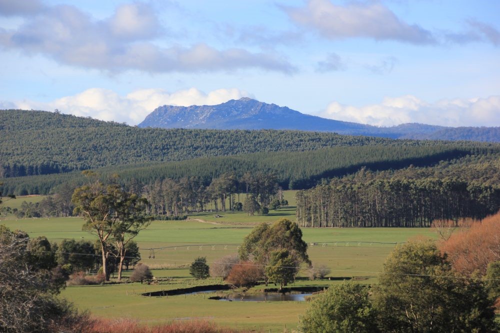 NRM SOUTH (@nrmsouth) on Twitter photo Private Forests Tasmania is leading a $450k co-investment grant program (Stems for CO2 2024) to support Tasmanian farmers on private land to plant and grow more commercial trees on their properties.
EoIs are now open, closing on March 1, 2024. pft.tas.gov.au/stems-for-co2-… Private Forests Tasmania is leading a $450k co-investment grant program (Stems for CO2 2024) to support Tasmanian farmers on private land to plant and grow more commercial trees on their properties.
EoIs are now open, closing on March 1, 2024. pft.tas.gov.au/stems-for-co2-…