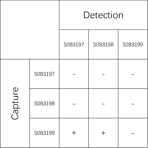 Starterbio's tweet photo. #IVD #Antibody #ACTH 

ACTH Recombinant Rabbit mAb (SDT-362-92)

Recommend Paired:
S0B3199 (Capture) – S0B3197 (Detection)

Application: Sandwich ELISA

#Hormone #Diagnosis #recombinant #antibody #CDx #IVD #cancer #pathology #Immunohistochemistry https://t.co/Dhc4VEDiRH