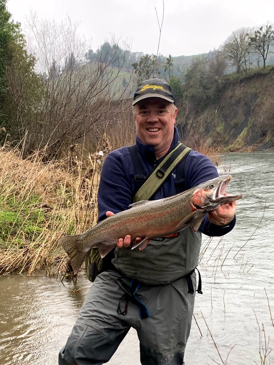 mattshorb's tweet photo. I guess it’s that time of year when I share steelhead pictures.  Just thankful to have a little time this weekend to get on the river some.  #fishing https://t.co/kaEztj8v2h