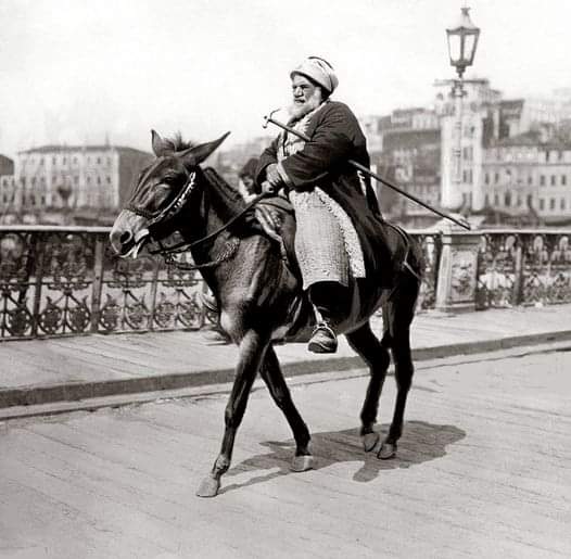 1908 Karaköy Ahşap Galata Köprüsü üzerinden katırı ile geçen bir adam.Köprü 1845'te açıldığında geçiş tarifesi yayalar için 5para,hamallar için 10para,yüklü arabalar için 5kuruş,yüklü beygirler için 40para, koyunlar için 3para olarak belirlenmişti. 1930 yılında ücret kaldırıldı.