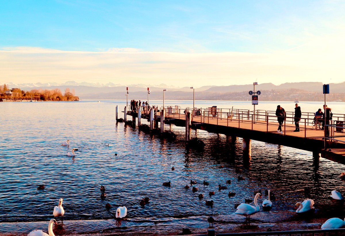 nicktraveltips's tweet photo. Zürich by the lake https://t.co/kDZOO0A5wZ