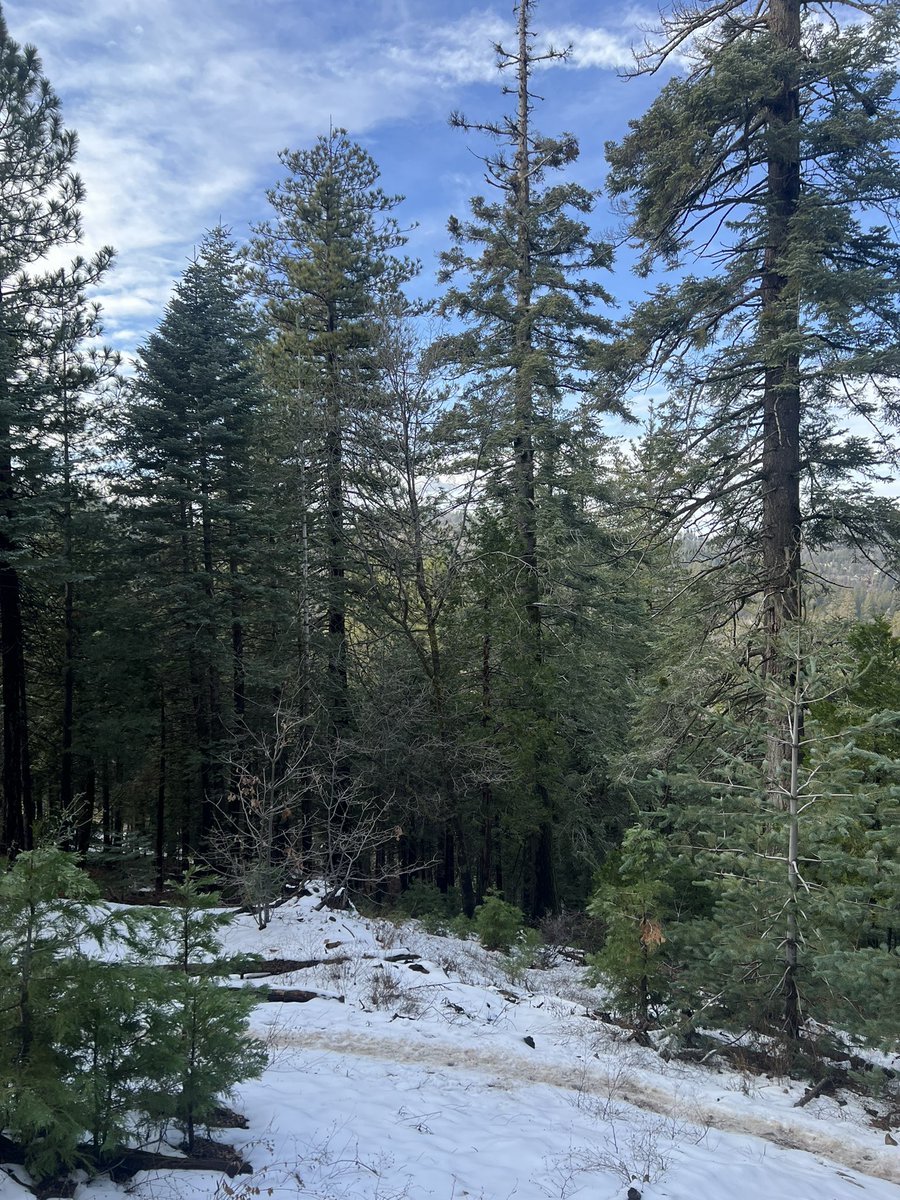 ThyTrace's tweet photo. Nature is pretty https://t.co/tWRqR7vIrr