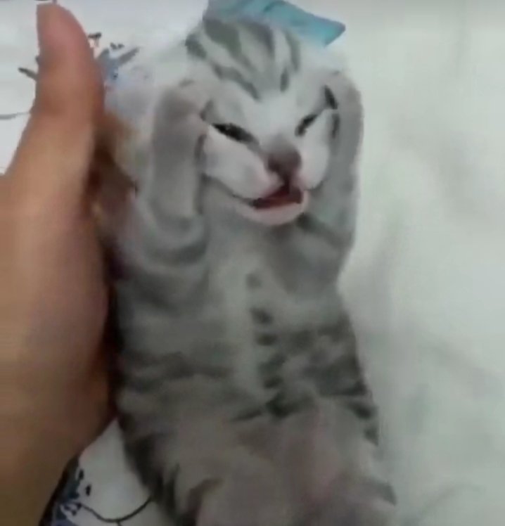 mizaa_h's tweet image. MANA TADBIR URUS KOS HIDUP SEMUA TU???? 😭 #stpm #pengajianam