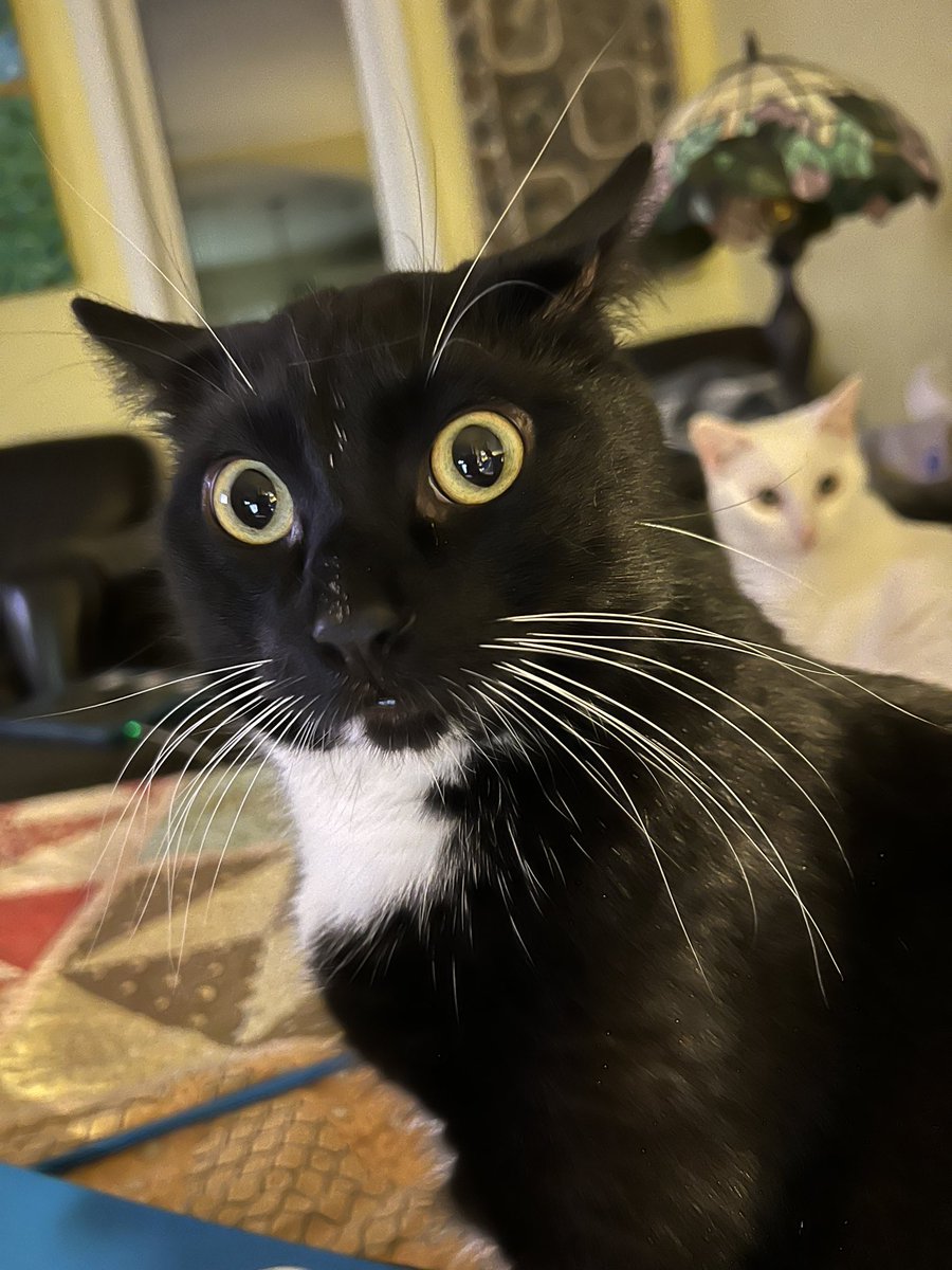 Charlie is shocked that it is raining.
