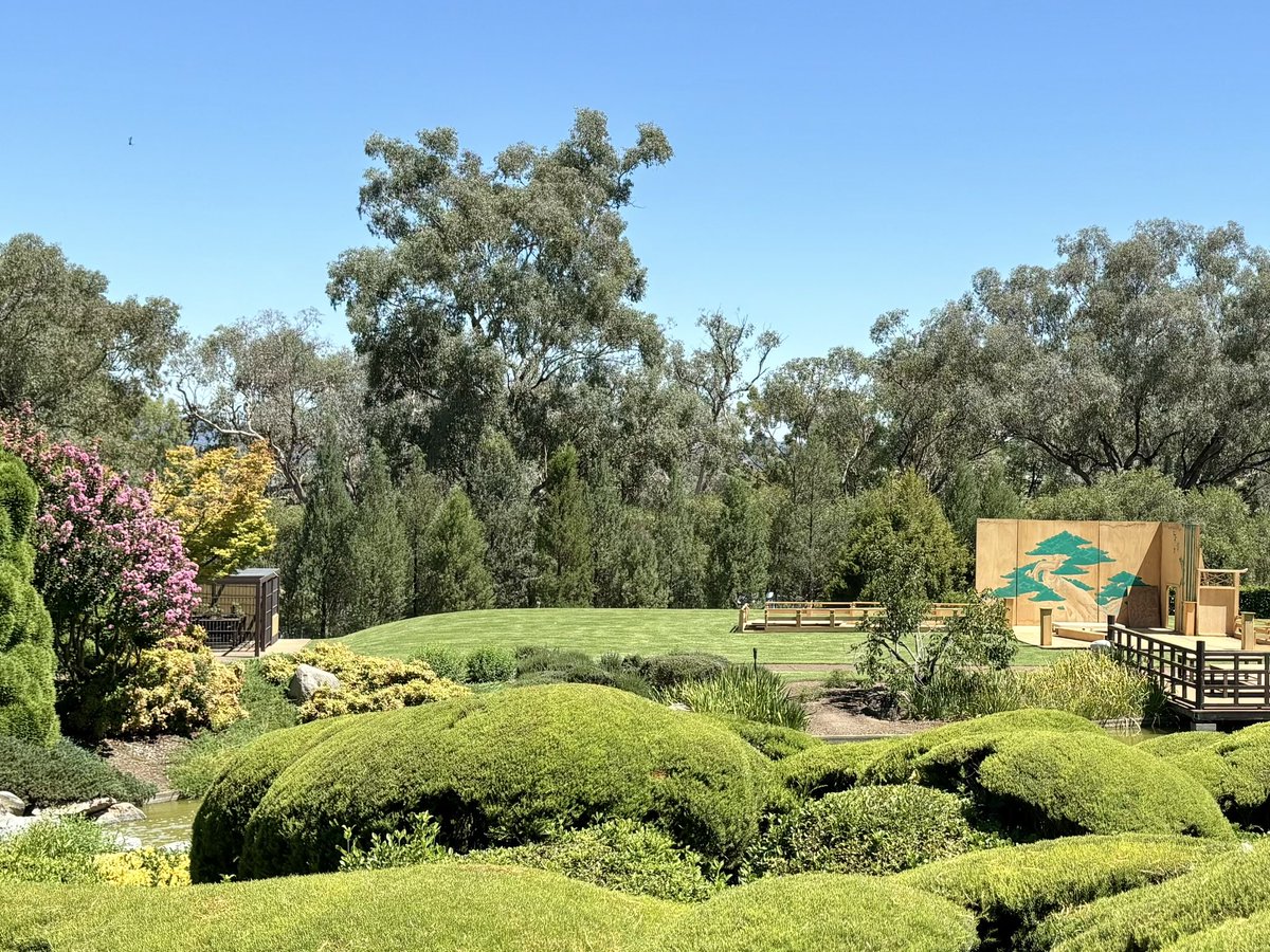 peterprince4's tweet photo. most successful pearling businessman. Naturalised in 1899 with equal legal status with other Australians, on 8 Dec 1942 he was ‘captured’ in his Darwin office. He died in 1943 at Tatura internment camp in Victoria. Tets and I plan a joint paper about all this at AHA 2024. https://t.co/KNvqIW6ouO