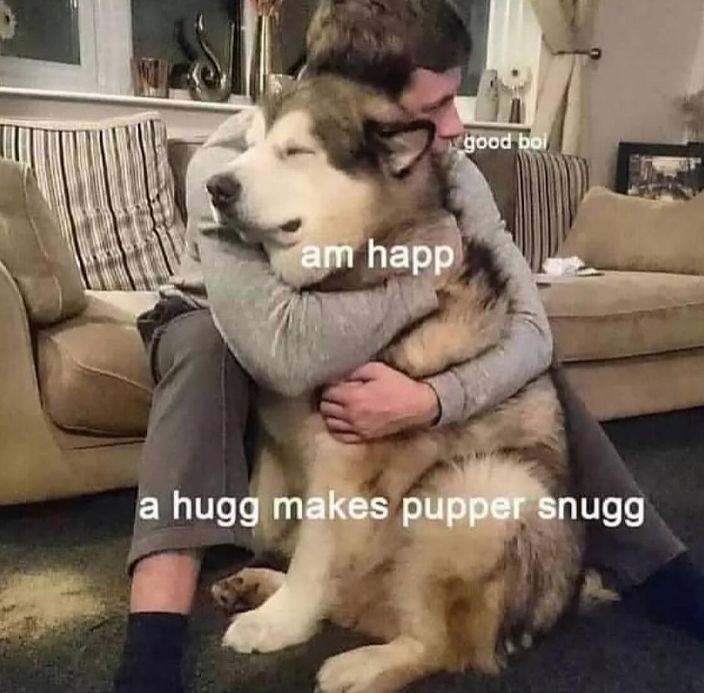 WholesomeMeme's tweet photo. https://t.co/fyugXO7BWG