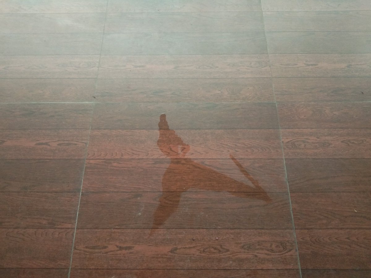 🌿The meaning of life lies in living it with purity.🌿