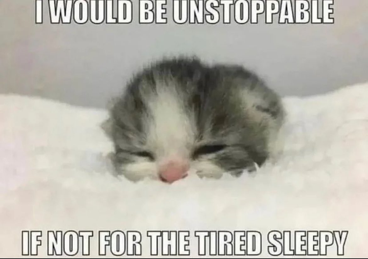 PunchingCat's tweet photo. https://t.co/f9TyhohIzK