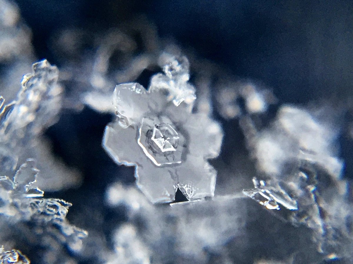 arakencloud's tweet image. 関東の皆様、雪が降ったらぜひ雪結晶観察をお試しください。雪の結晶はスマホで撮れます。スマホ用マクロレンズやルーペを使うと手軽にとても綺麗な写真に！コツは手首を地面につけて固定して接写、マクロレンズつきなら被写体から数cmでピントがあいます。皆様に素敵な雪との出会いがありますように❄️