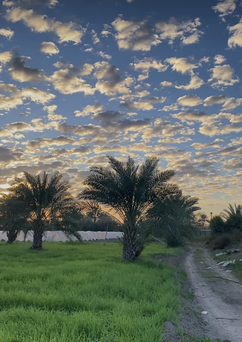 هناك قلوبٌ خُلقت لتسعدنا …وتخبرنا أن الحياةَ مازالت جميلة …

كما يكون قلبك تكون الدنيا في عينيك …

صباحً جميلاً گجمال قلوبكم 🌹🤍
