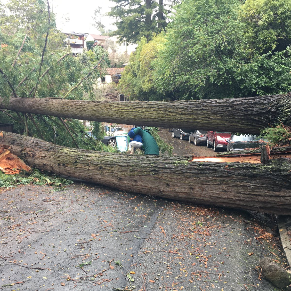 Erocker33's tweet photo. @berkeleyside Berkeley Hills https://t.co/BVVH8QxYPg