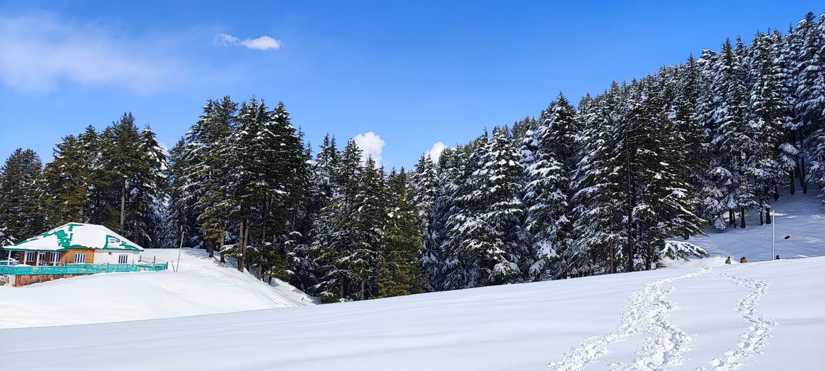 acd_doda's tweet photo. See the mesmerizing Lal Draman in Doda.The snow clad meadow is appealing the nature lovers.This is" lal Draman Mera Chaman"@anoopkumarjk @vishesh_jk @harvinder_ias @RajaSarfaraz786 @DrJitendraSingh https://t.co/mjwScsx1j4