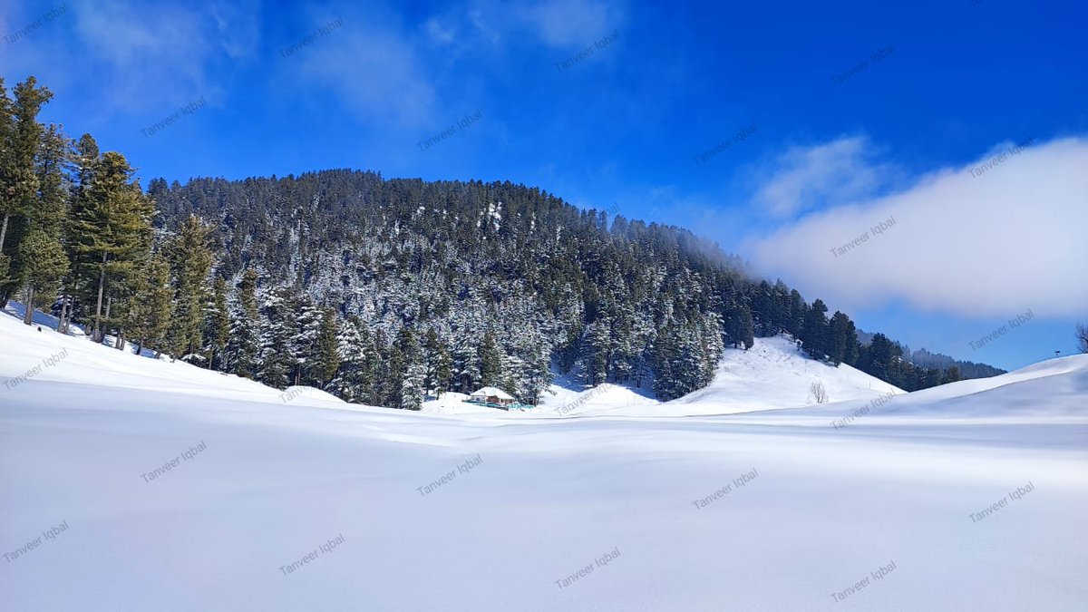 acd_doda's tweet photo. See the mesmerizing Lal Draman in Doda.The snow clad meadow is appealing the nature lovers.This is" lal Draman Mera Chaman"@anoopkumarjk @vishesh_jk @harvinder_ias @RajaSarfaraz786 @DrJitendraSingh https://t.co/mjwScsx1j4