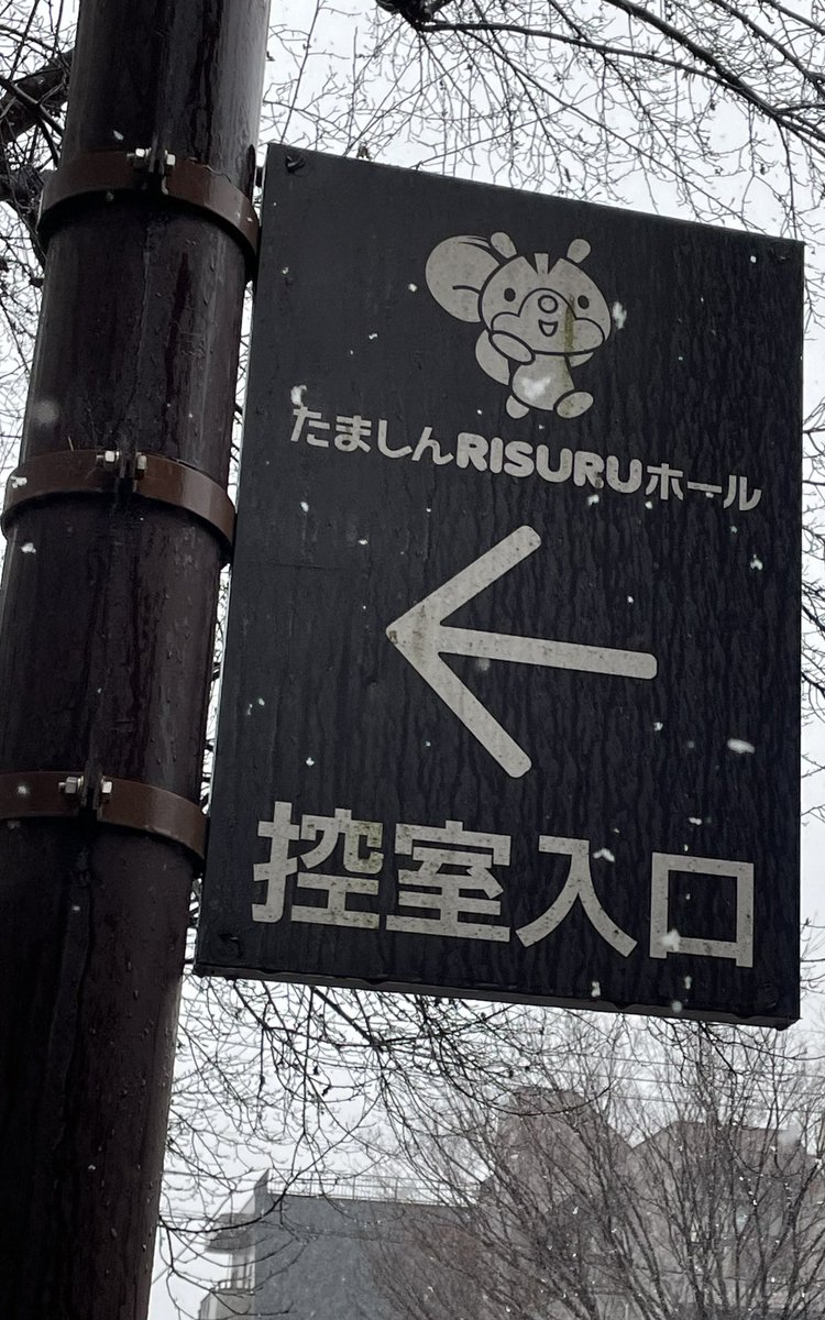 アールブリュット見にきたら（聞きにきたら）、めっちゃ雪❄️
積もりそう☃️