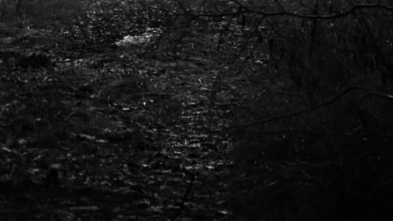 Top5.com tweet media