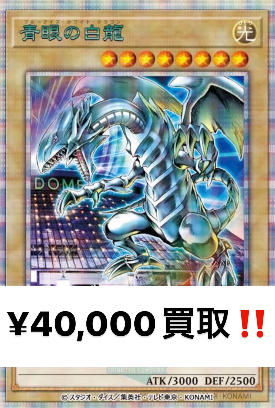メルカード@アキバカードショップ on X: メルカード@アキバカードショップ on X: