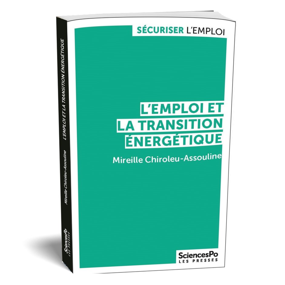 #Climat Les impératifs de transition écologique transforment les secteurs de production et font émerger de nouveaux #emplois. Ils entraînent aussi des coûts, inégalement répartis en fonction des filières productives @MChiroleuA @EntendezvousEco bit.ly/3OqRIA7