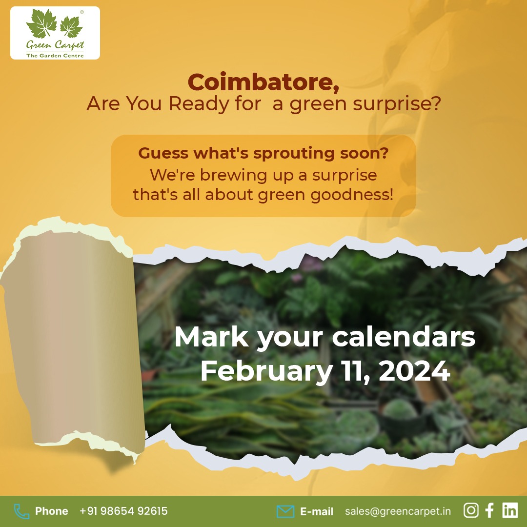 Coimbatore, a green surprise is on the way! Stay curious and join us on February 11th for the big reveal.🌳

Website- greencarpet.in
📞 Contact: +91- 98654 92615

#greencarpet #coimbatore #planters #plantlovers #coimbatoregreenery #newstore #plantsstore #plantlove