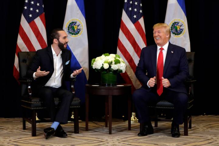 bindyb123's tweet photo. @nayibbukele #StrongAndFearless
#PresidentNayibAndTrump https://t.co/KJ469j5yMo