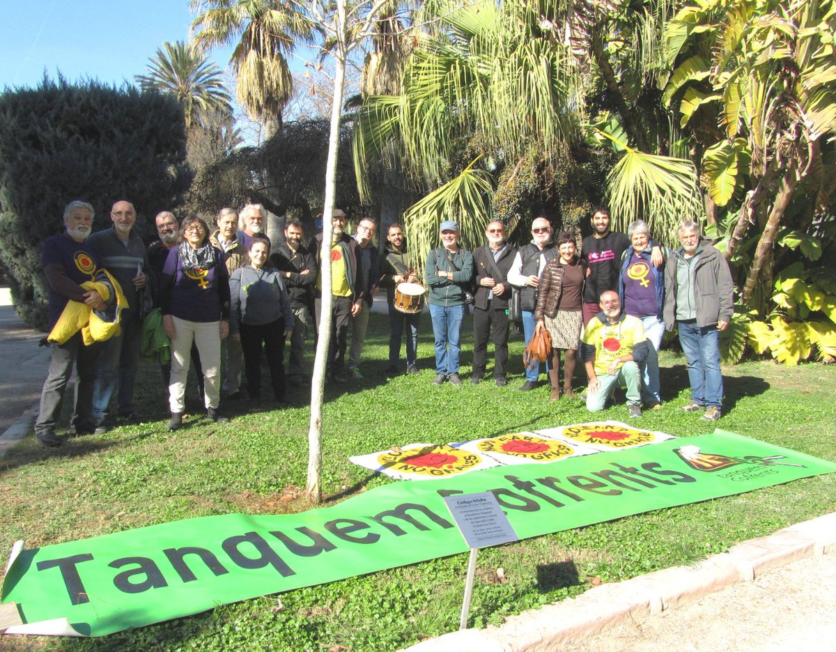 SenseNuclears's tweet photo. Tanquem  Cofrents al parc de Vivers de València per a posar-li una nova placa a l'arbre símbol de pau.
Acte simbòlic: per l'eliminació de les bombes atòmiques i el tancament de les centrals nuclears.
TanquemCofrents https://t.co/cgZ6JuTwkO