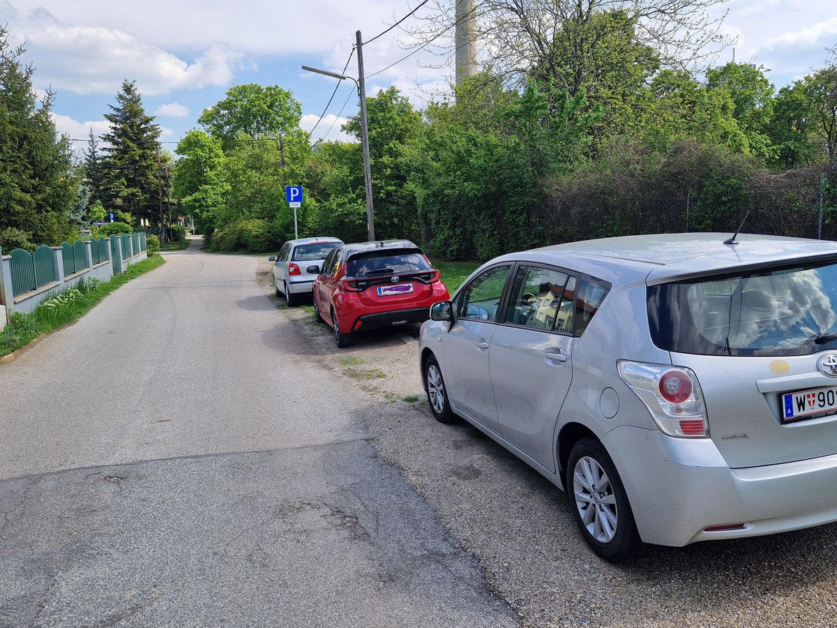 Heidi Sequenz #lobaubleibt tweet media