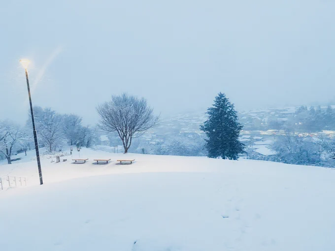 聖蹟桜ヶ丘めちゃめちゃ雪降ってる…! 