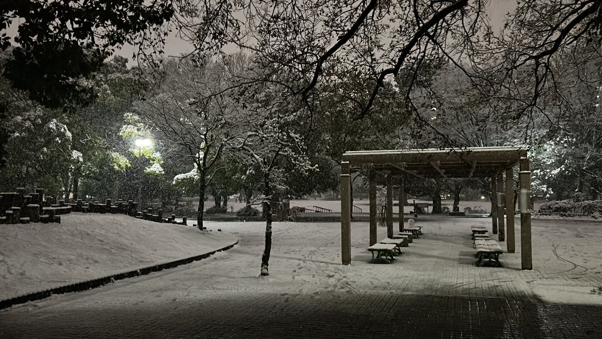 Emmanuel Reed tweet media