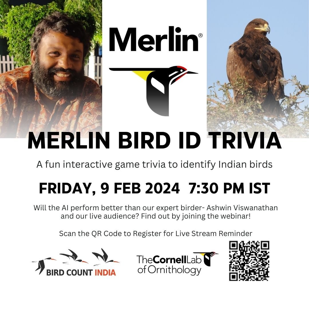 Merlin Bird ID (@MerlinBirdID) versus expert birder Ashwin Viswanathan and a live audience -- who will win? Find out by joining the webinar! Friday, 9 Feb 2024 7.30–8.30 pm YouTube Live: youtube.com/watch?v=9IAHzb… Register here for Live Stream Reminder: dl.allaboutbirds.org/merlingbbcbird…
