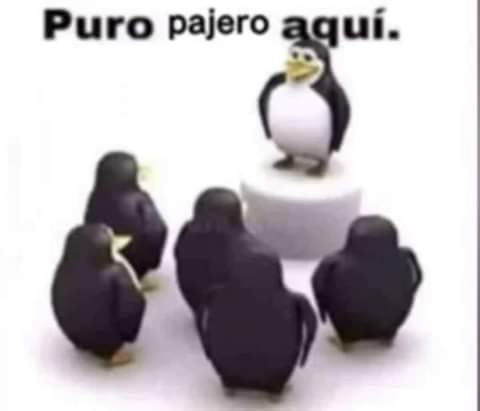 ExequielDelval1's tweet photo. @ElbuenEchoes https://t.co/j0IVD2q8To